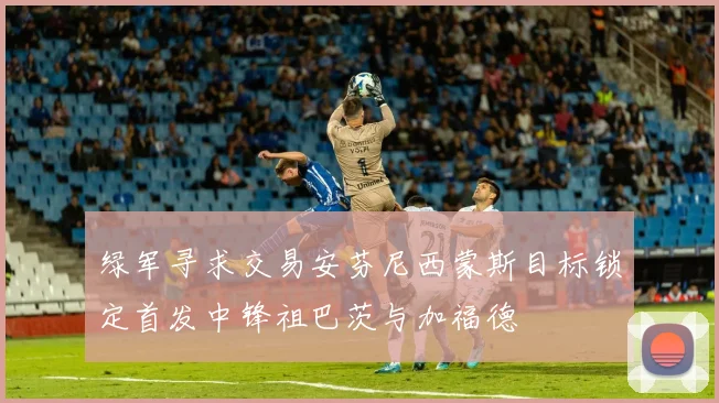 绿军寻求交易安芬尼西蒙斯目标锁定首发中锋祖巴茨与加福德